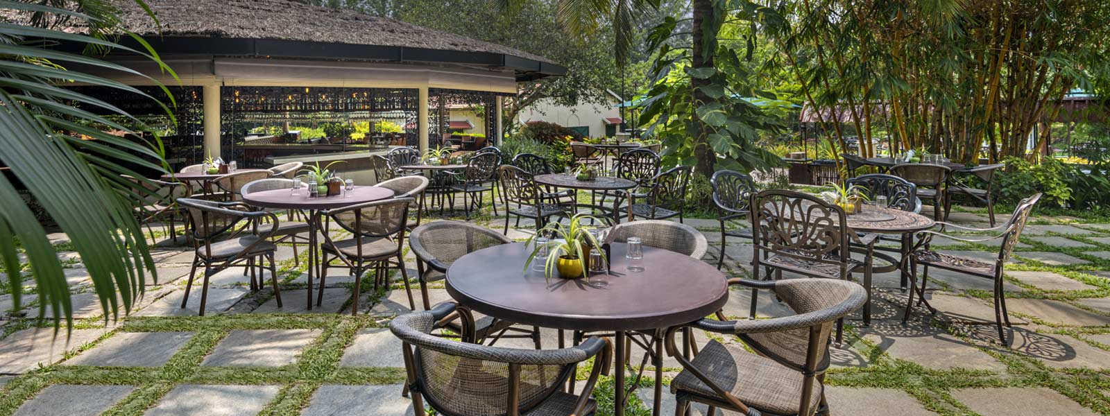 Big Banyan Vineyard & Resort