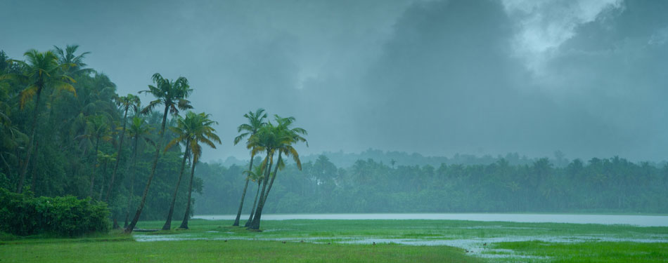 Embrace the showers of South India
